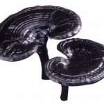 nam-linh-chi-den