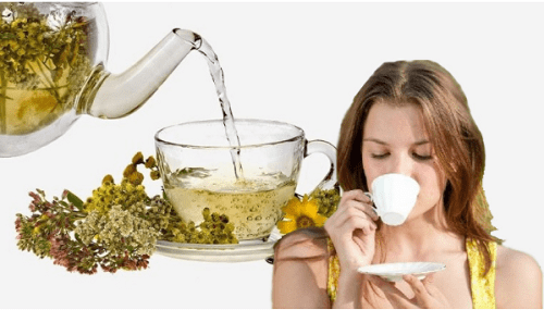 tổng hợp 10 loại trà thảo dược tốt cho sức khỏe không nên bỏ lỡ