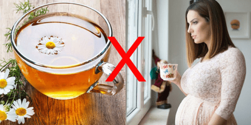 Phụ nữ mang thai không nên uống trà hoa cúc 