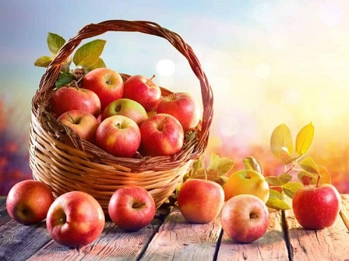 Top 5 loại táo nhập khẩu thượng hạng nên ăn thử một lần