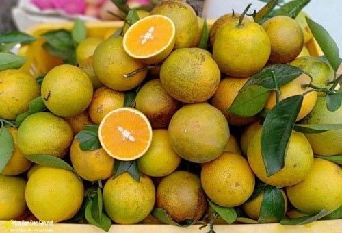 Ấn tượng hương vị vùng cao trong từng trái cam Cao Phong