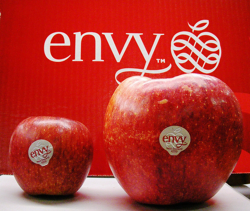 Giá táo envy hiện nay là bao nhiêu? Mua táo envy ở đâu ngon?
