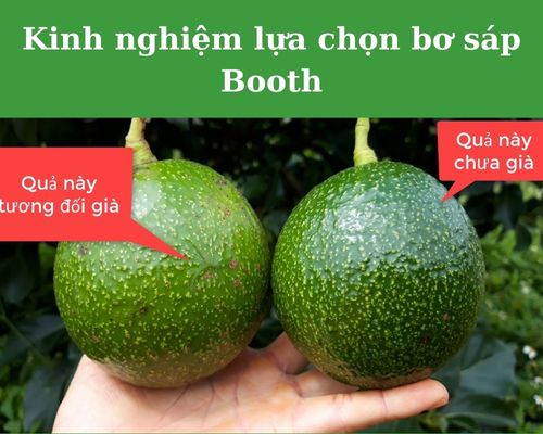 kinh-nghiem-chon-bo-sap-booth